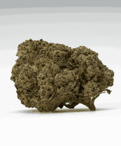 Banana Cream (AA+) - Image 3