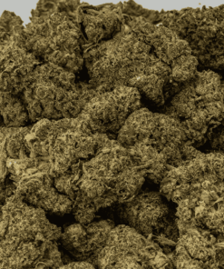 Banana Cream (AA+) - Image 4
