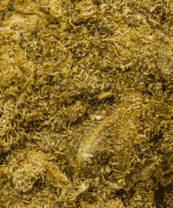Banana OG (A) - Image 5