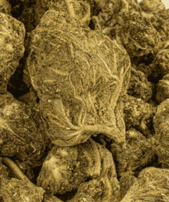 Banana OG (A) - Image 4