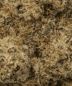 Cereal MAC (Craft) - Image 4