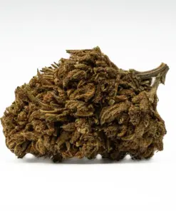Golden Haze (A) - Image 5
