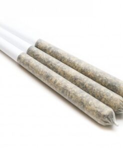 House 0.5g Kief Pre-Rolls (Hybrid) - Image 1
