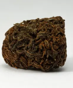 Irish Cream (A) - Image 5