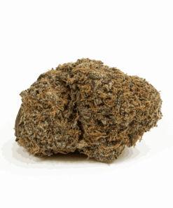 Lemonberry (AAA) - Image 3