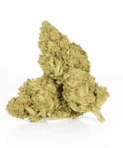 Mango Lemonade (AA) - Image 1