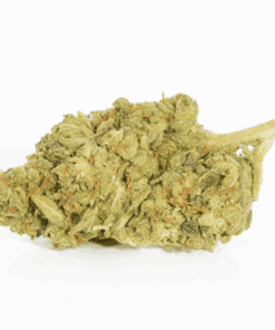 Mango Lemonade (AA) - Image 4
