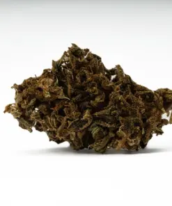 Mango Tango (A) - Image 5