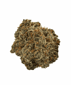 Mother Of Berries (AAA) - Image 3