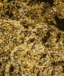 Peach Crescendo (AA+) - Image 5