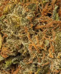 Super Kush (AA) - Image 3
