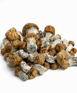 Avalanche Mushrooms - Image 3