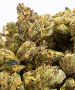 (Smalls) Bakerstreet (AA+) - Image 2