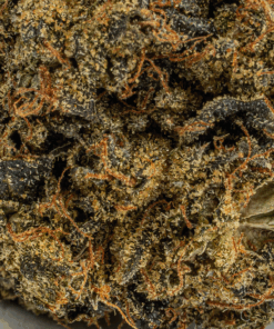 Gas Leak (AAA+) - Image 3