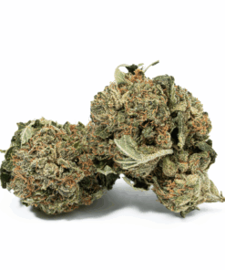 Glue Dream (AA) - Image 1