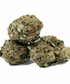 Glue Dream (AA) - Image 5