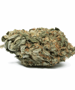 Glue Dream (AA) - Image 3