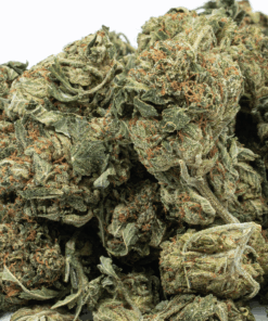 Glue Dream (AA) - Image 2