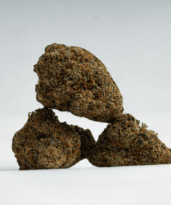 God's Gift (AA+) - Image 2