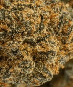 God's Gift (AA+) - Image 3