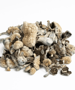 Golden Teacher Mushrooms - Image 2