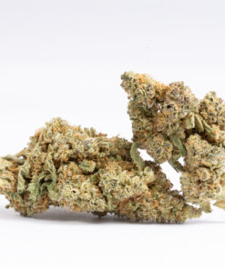 Jupiter (AA+) - Image 1