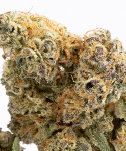 Jupiter (AA+) - Image 2