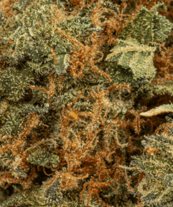 Lamb's Bread (AA+) - Image 3