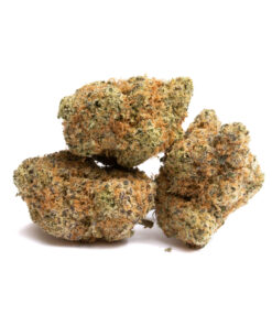 Loyalty (AAA) - Image 1