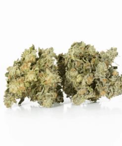 Northern Lights (AAA) - Image 4