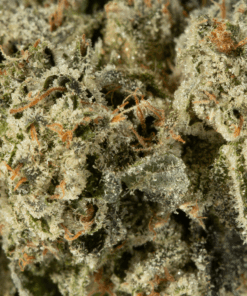 Northern Lights (AAA) - Image 3