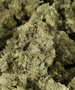 Northern Lights (AAA) - Image 5