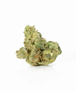 Primus (AAA+) - Image 2