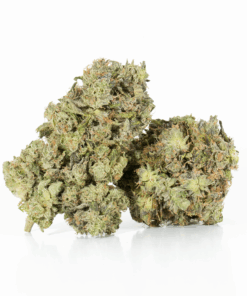 Primus (AAA+) - Image 1