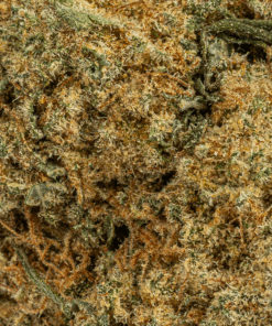 Silky Johnson (AAA+) - Image 2