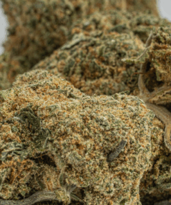 Silky Johnson (AAA+) - Image 3