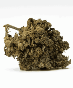 AK-47 (AAA) - Image 3