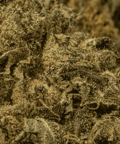 AK-47 (AAA) - Image 5