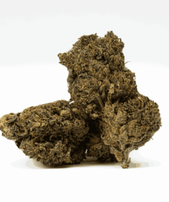 Black Jesus (AAA+)