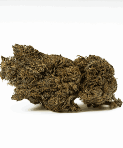 Black Jesus (AAA+) - Image 3