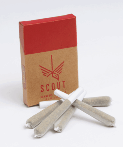 Scout - 5 Pack Pre-Rolls (0.5g) - CBD - Image 1
