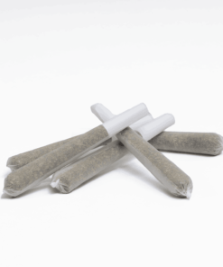 Scout - 5 Pack Pre-Rolls (0.5g) - CBD - Image 2