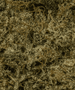 Super Bubba (Craft) - Image 5