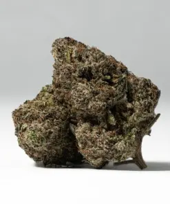 9LB Hammer (AAAA) - Image 1