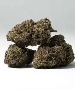 9LB Hammer (AAAA) - Image 3