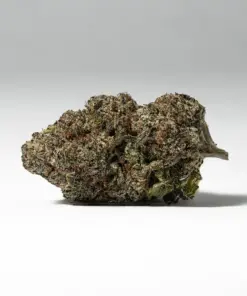 9LB Hammer (AAAA) - Image 2