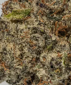 9LB Hammer (AAAA) - Image 5