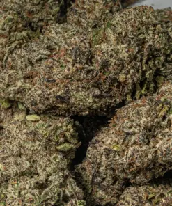 9LB Hammer (AAAA) - Image 4