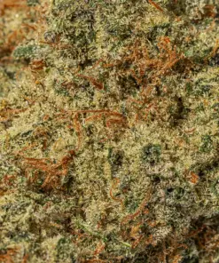 Alien Cookies (AAAA+) - Image 5