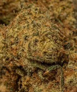 Alien Mints (AA) - Image 3